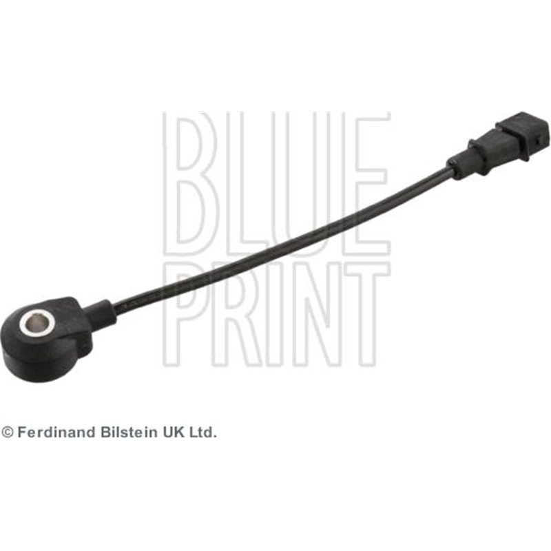 Senor batai - Blue Print-ADG072122