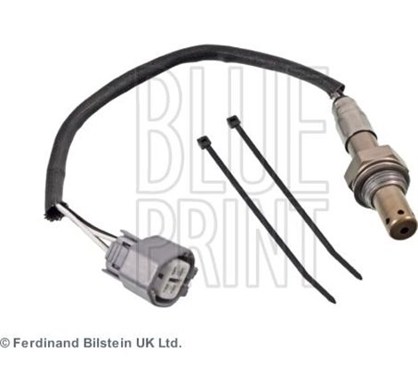 Sonda Lambda - Blue Print-ADJ137030