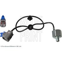 Senor batai - Blue Print-ADM57228