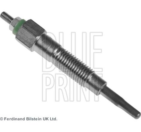 Bujie incandescenta - Blue Print-ADN11819