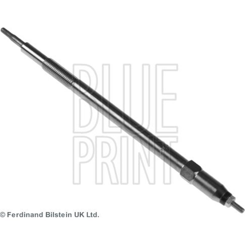 Bujie incandescenta - Blue Print-ADN11822