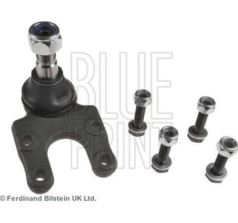 Articulatie sarcina / ghidare - Blue Print-ADN18638