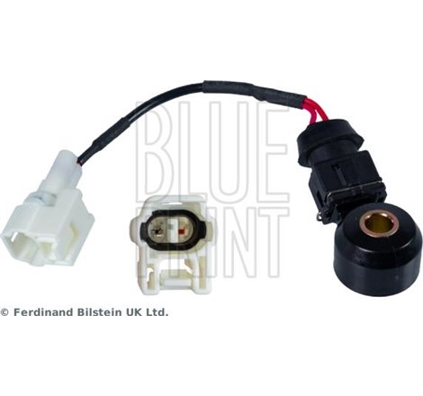 Senor batai - Blue Print-ADS77209