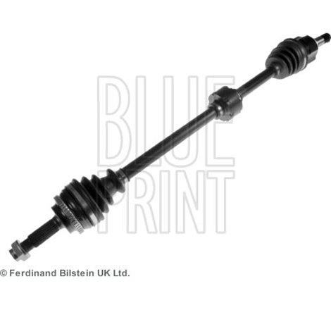 Planetara - Blue Print-ADT389504