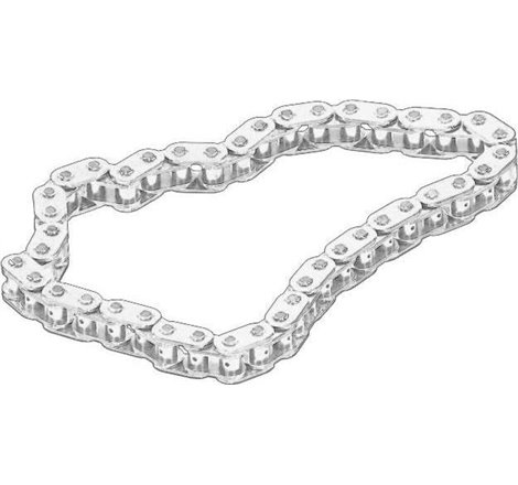 Lant, angrenare pompa ulei - BMW-11412249745