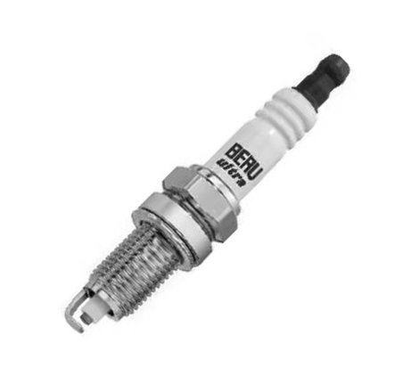 Bujii - BorgWarner (BERU)-Z293