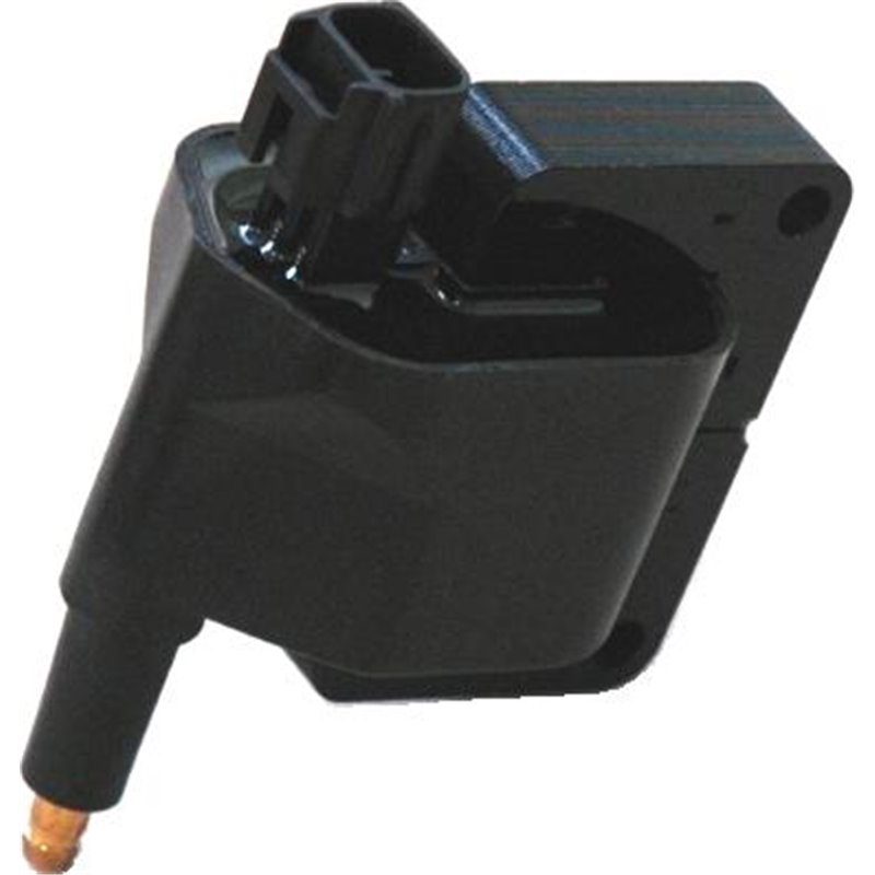 Bobina aprindereDODGE DAKOTA. DURANGO. JEEP CHEROKEE. GRAND CHEROKEE I. WRANGLER II 2.4-5.9 10.84-04.07 - BorgWarner (BERU)-ZS39