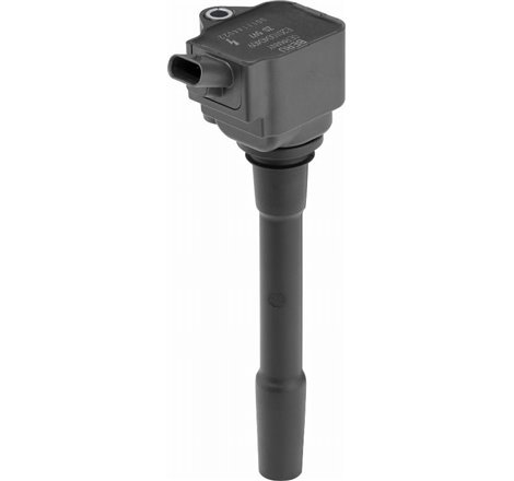 Bobina de inductie - BorgWarner (BERU)-ZS597