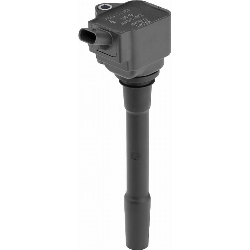 Bobina de inductie - BorgWarner (BERU)-ZS597