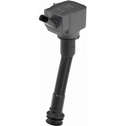 Bobina de inductie - BorgWarner BERU-ZSE260 - BorgWarner (BERU)-ZSE260