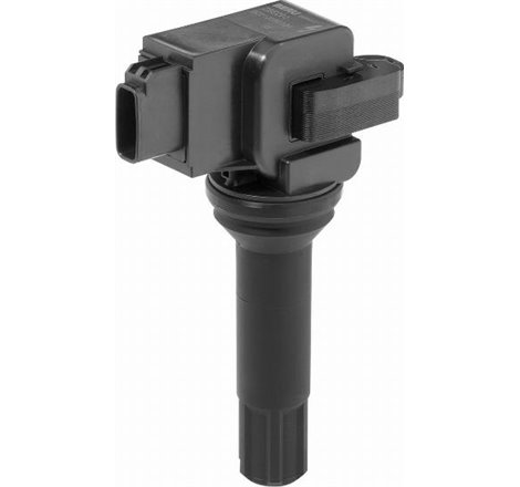 Bobina de inductie - BorgWarner BERU-ZSE290 - BorgWarner (BERU)-ZSE290