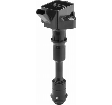 Bobina de inductie - BorgWarner BERU-ZSE294 - BorgWarner (BERU)-ZSE294