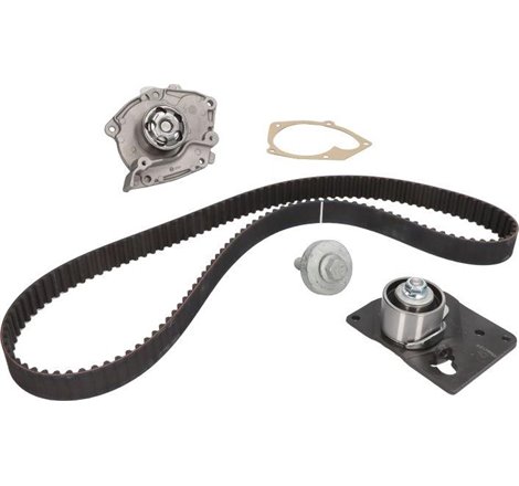 Kit distributie NISSAN PRIMERA. RENAULT GRAND SCENIC II. GRAND SCENIC III. LAGUNA II. MEGANE II. MEGANE III. MEGANE II-KOMBI. SC