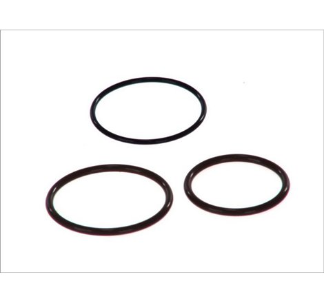 Chit reparatie,unitate pompa-diuza - BOSCH-F 00H 4S0 001