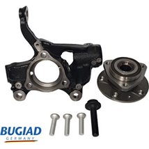 Articulatie directie. suspensie roata - Bugiad-BSP25049PROKIT - Bugiad-BSP25049PROKIT