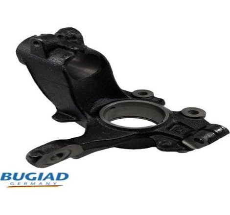 Articulatie directie. suspensie roata - Bugiad-BSP25317 - Bugiad-BSP25317