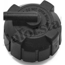 Buson,vas expansiune - Calorstat by Vernet-RC0026