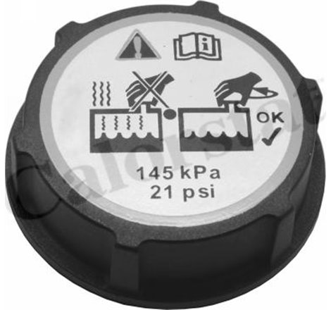 Buson,vas expansiune - Calorstat by Vernet-RC0150