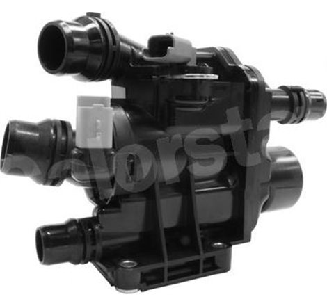 Termostat,lichid racire - Calorstat by Vernet-TE2119.97J