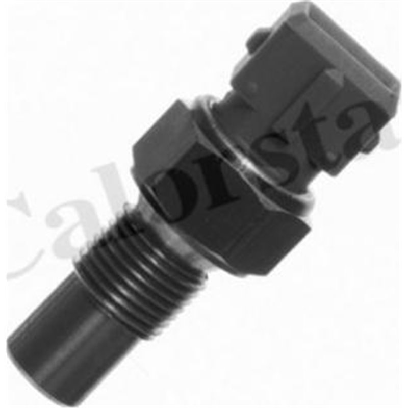 Senzor,temperatura lichid de racire - Calorstat by Vernet-WS2502