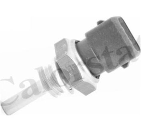 Senzor,temperatura lichid de racire - Calorstat by Vernet-WS3002