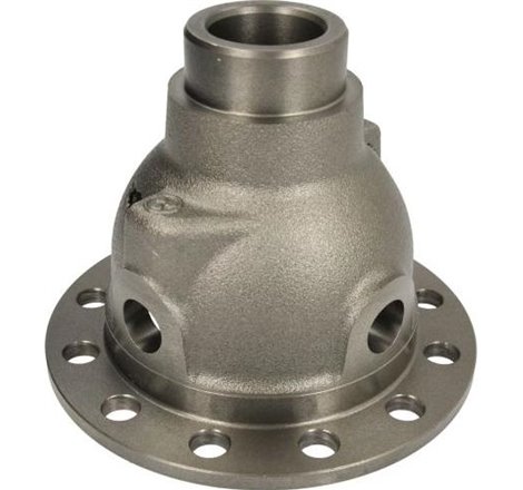 Carcasa, diferential - C.E.I.-175.093