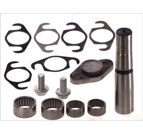 Set reparatie, pivot - C.E.I.-230.058