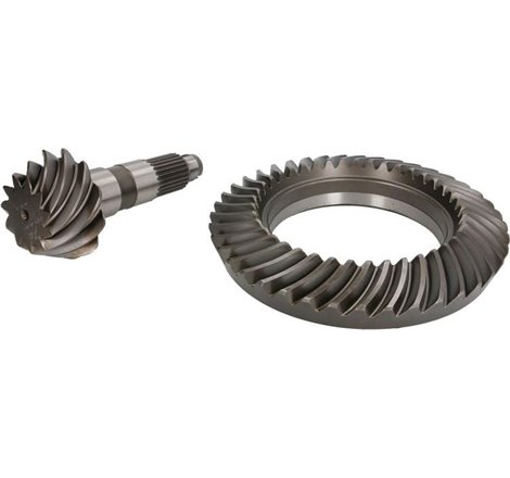 Taler / con pinion set - C.E.I.-294.276