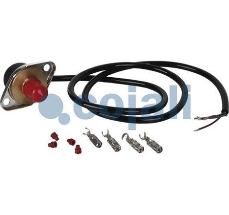 Senzor - Cojali-2260281