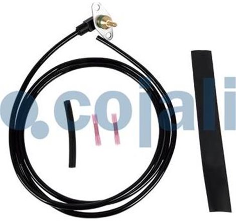 Senzor - Cojali-2260876