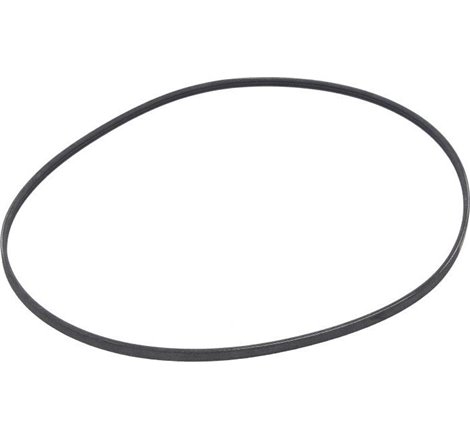 Curea transmisie cu caneluri - CONTINENTAL-3PJ891