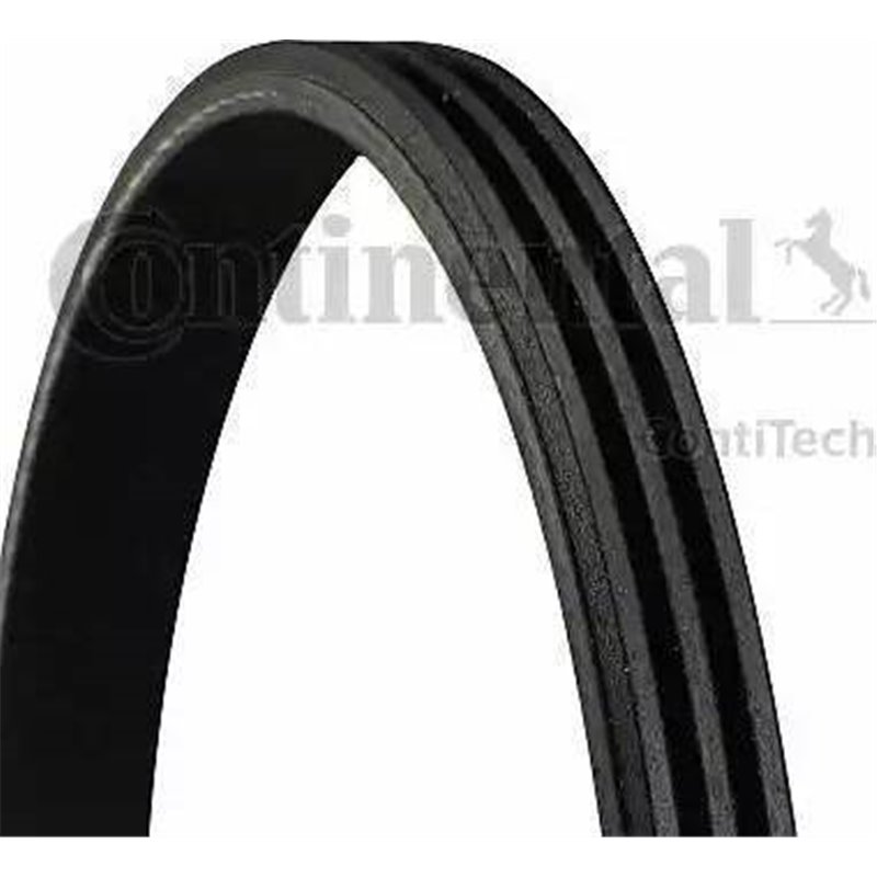 Curea transmisie cu caneluri - CONTINENTAL-3PK800