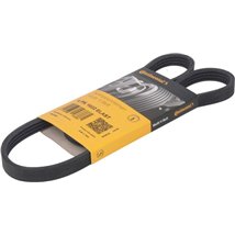 Curea transmisie cu caneluri - CONTINENTAL-4PK1022ELAST