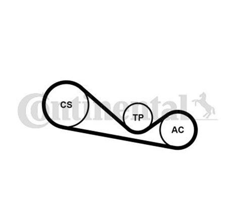 Set curea transmisie cu caneluri - CONTINENTAL-4PK1237K1