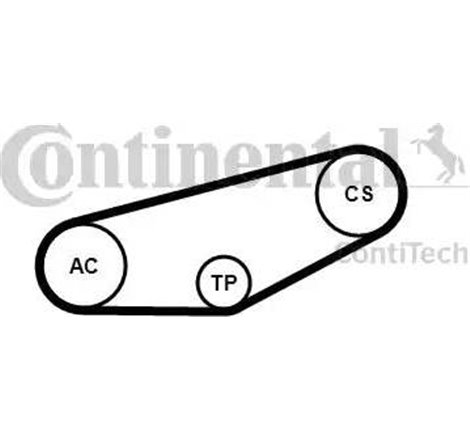 Set curea transmisie cu caneluri - CONTINENTAL-4PK855K1