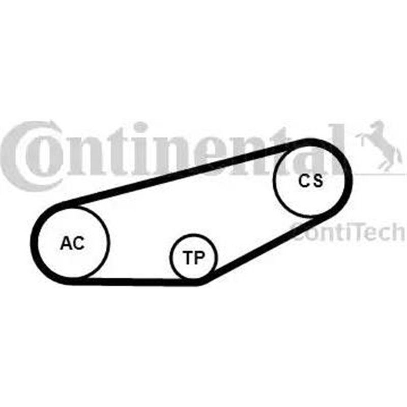Set curea transmisie cu caneluri - CONTINENTAL-4PK855K1
