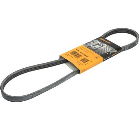 Curea transmisie cu caneluri - CONTINENTAL-4PK924ELAST