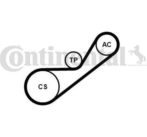 Set curea transmisie cu caneluri - CONTINENTAL-4PK925K1