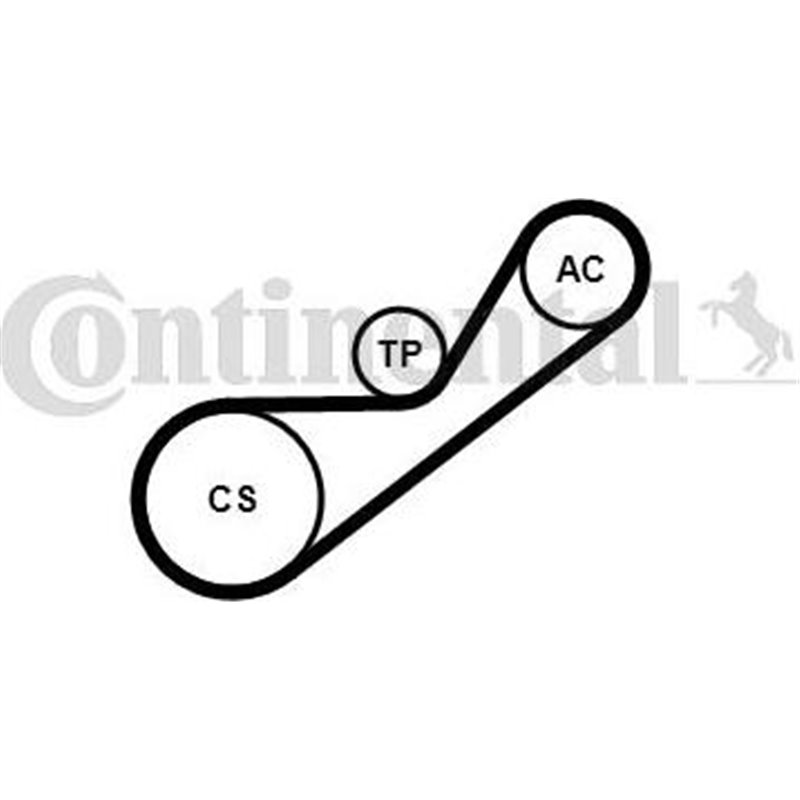 Set curea transmisie cu caneluri - CONTINENTAL-4PK925K1