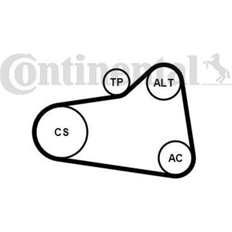 Pompa apa + Set curea transmisie cu caneluri - CONTINENTAL-6PK905 EXTRA WP1