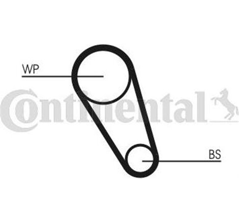 Set pompa apa + curea dintata - CONTINENTAL-CT1195WP1