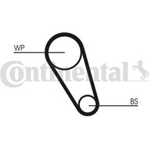 Set pompa apa + curea dintata - CONTINENTAL-CT1195WP1