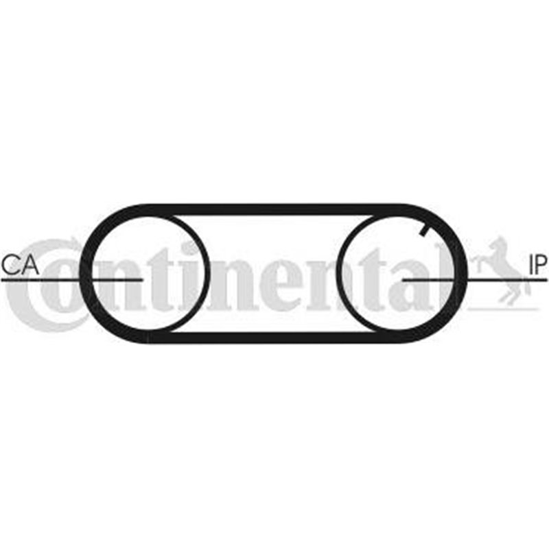 Set pompa apa + curea dintata - CONTINENTAL-CT704WP2PRO