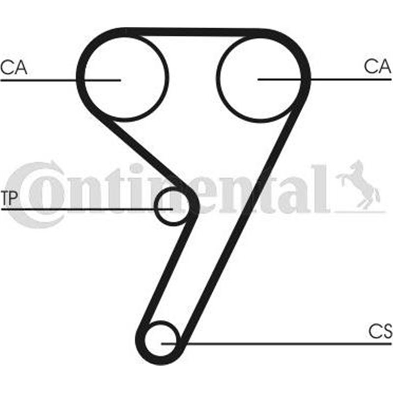 Set pompa apa + curea dintata - CONTINENTAL-CT881WP4