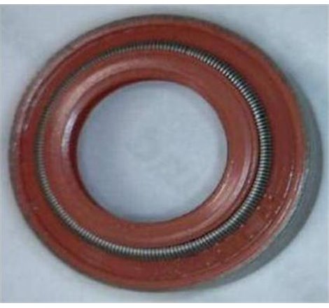 Simering supape 9x13.6-9x17.3x9.5 NEW HOLLAND CR 12.9D 01.08-12.11 - Corteco-19036763