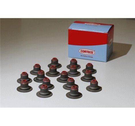 Set simering supape 5.5 x 25 x 18 FORD FIESTA V. FOCUS C-MAX. FOCUS I. FOCUS II. FOCUS III. MONDEO III. MONDEO IV. MONDEO - Cort