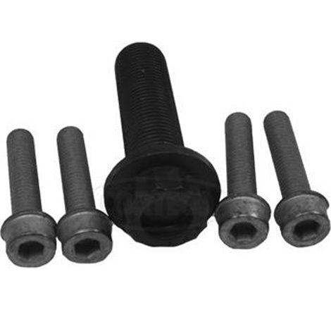 Un set de suruburile de fixare a rotii arborelui cotit Audi-Skoda-VW 1.9TDI - Corteco-80001259