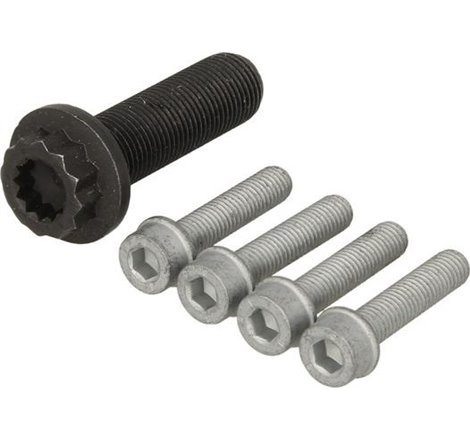 Crankshaft fixing bolts set-kit AUDI A3. FORD GALAXY I. SEAT LEON. TOLEDO II. SKODA OCTAVIA I. VW BORA. BORA I. GOLF IV. NEW BEE