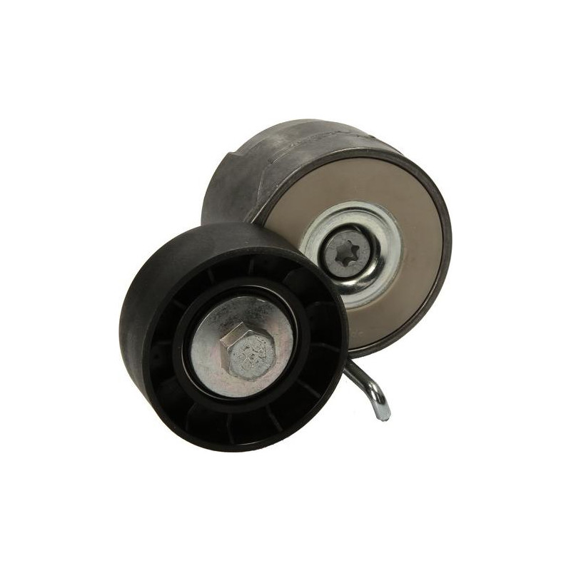 Rola de tensionare curea de transmisie Fiat. Opel. Suzuki 1.3JTD-CDTI-DDiS 06.03- - Dayco-APV1078