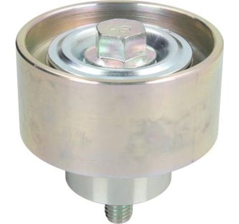 Intinzator curea, curea distributie - Dayco-APV1083